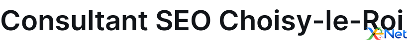 Consultant SEO Choisy-le-Roi